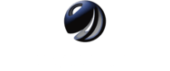 DD Auction